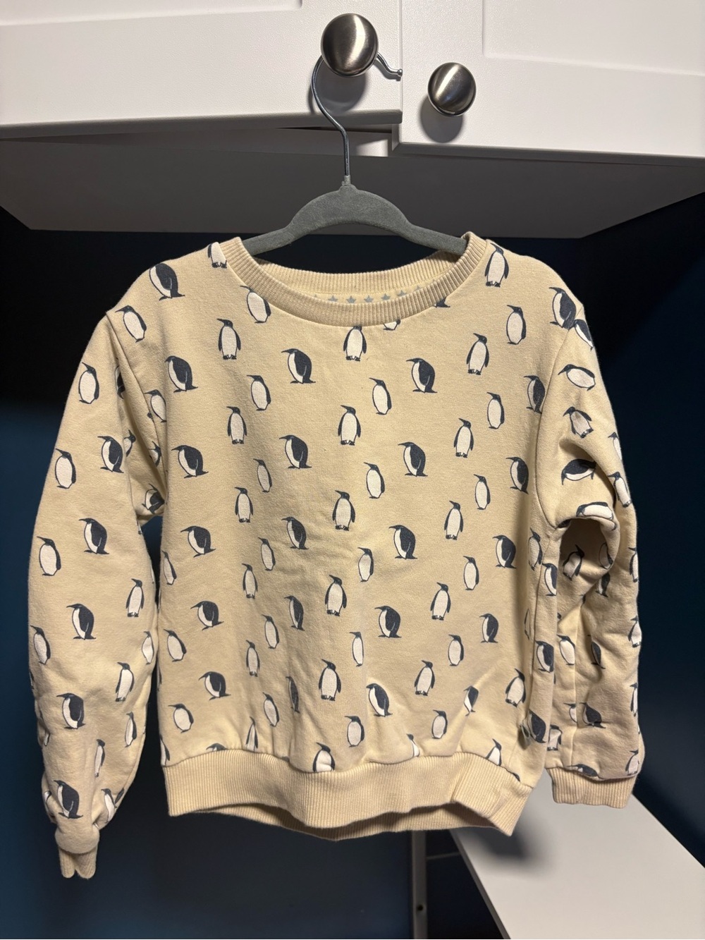 Kids Penguin Print Crewneck Sweatshirt - Cream